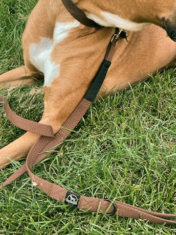 Martial arts inspired leash for secure dog walking and training