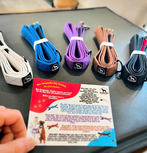 Dog leash crafted from durable jiujitsu belt with built-in dispenser